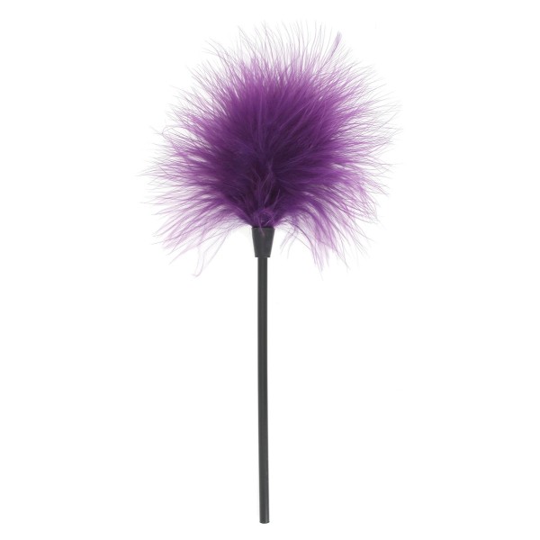 Эротический набор FANTASTIC PURPLE SEX TOY KIT