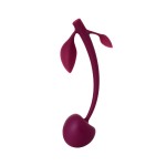 Бордовая вагинальная вишенка WILD CHERRY - 14,5 см