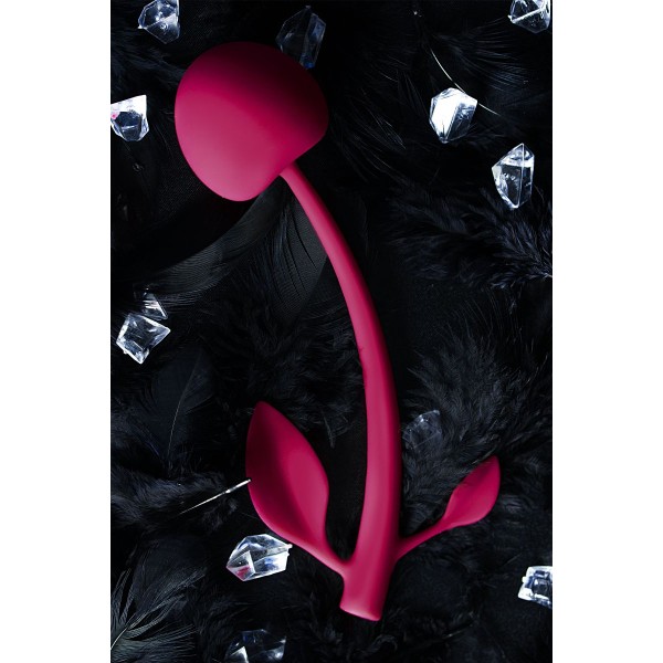 Бордовая вагинальная вишенка WILD CHERRY - 14,5 см