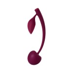 Бордовая вагинальная вишенка WILD CHERRY - 13 см