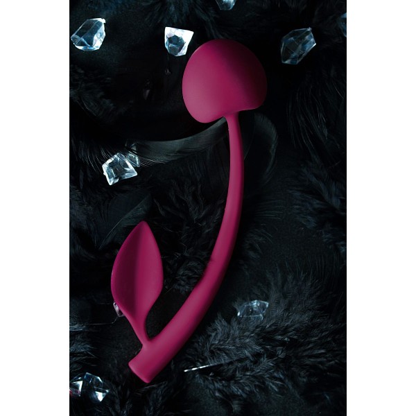 Бордовая вагинальная вишенка WILD CHERRY - 13 см