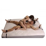 Бондаж для фиксации на кровати Frisky Bedroom Restraint Kit