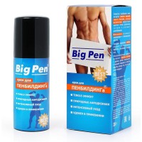Крем Big Pen для увеличения полового члена - 20 гр. Крем Big Pen для увеличения полового члена - 20 гр.