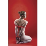 Красная веревка для связывания Japanese Rope - 5 м