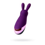 Фиолетовый стимулятор эрогенных зон Eromantica BUNNY - 12,5 см