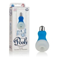 Голубой мини-вибратор Posh Silicone Ice Massager Tease со съемной насадкой для заморозки Голубой мини-вибратор Posh Silicone Ice Massager Tease со съемной насадкой для заморозки