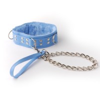 Голубой ошейник с поводком Голубой ошейник с поводком