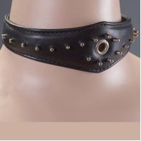 Кожаный ошейник с люверсом 