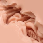 Мастурбатор-вагина Naked Factory V-01 Мастурбатор-вагина Naked Factory V-01