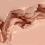 Мастурбатор-вагина Naked Factory V-01 Мастурбатор-вагина Naked Factory V-01