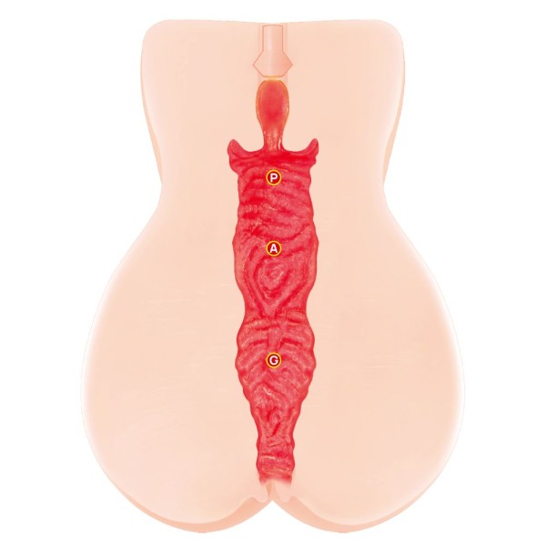 Мастурбатор-вагина с вибрацией Jenny Onahole edition 005 Мастурбатор-вагина с вибрацией Jenny Onahole edition 005