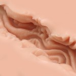 Мастурбатор-вагина Naked Factory V-04 Мастурбатор-вагина Naked Factory V-04