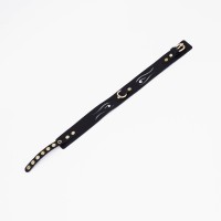 Черный кожаный ошейник с золотистой фурнитурой