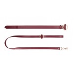 Бордовый ошейник с поводком Collar With Leash