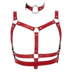 Красный комплект БДСМ-аксессуаров Harness Set