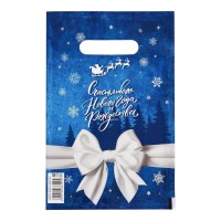 Сине-белый подарочный новогодний пакет с вырубной ручкой (20х30 см) Сине-белый подарочный новогодний пакет с вырубной ручкой (20х30 см)