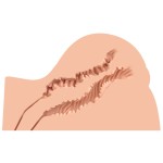 Мастурбатор-полуторс Naked Factory Kate Мастурбатор-полуторс Naked Factory Kate