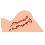 Мастурбатор-полуторс Naked Factory Trisha B-type Мастурбатор-полуторс Naked Factory Trisha B-type