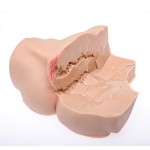 Мастурбатор-полуторс Naked Factory Laura Мастурбатор-полуторс Naked Factory Laura