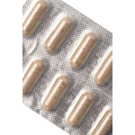 Капсулы для мужчин Erotist Silver Dragon для усиления эрекции - 10 капсул